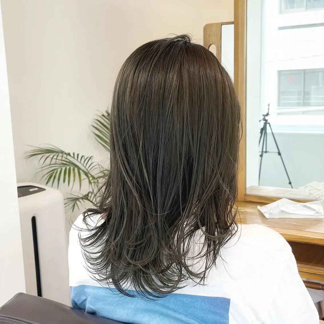 ショート カラー ショートボブ ハンサムショート アクアカラー アッシュ アッシュグレー navile原宿 yumaのヘアスタイル