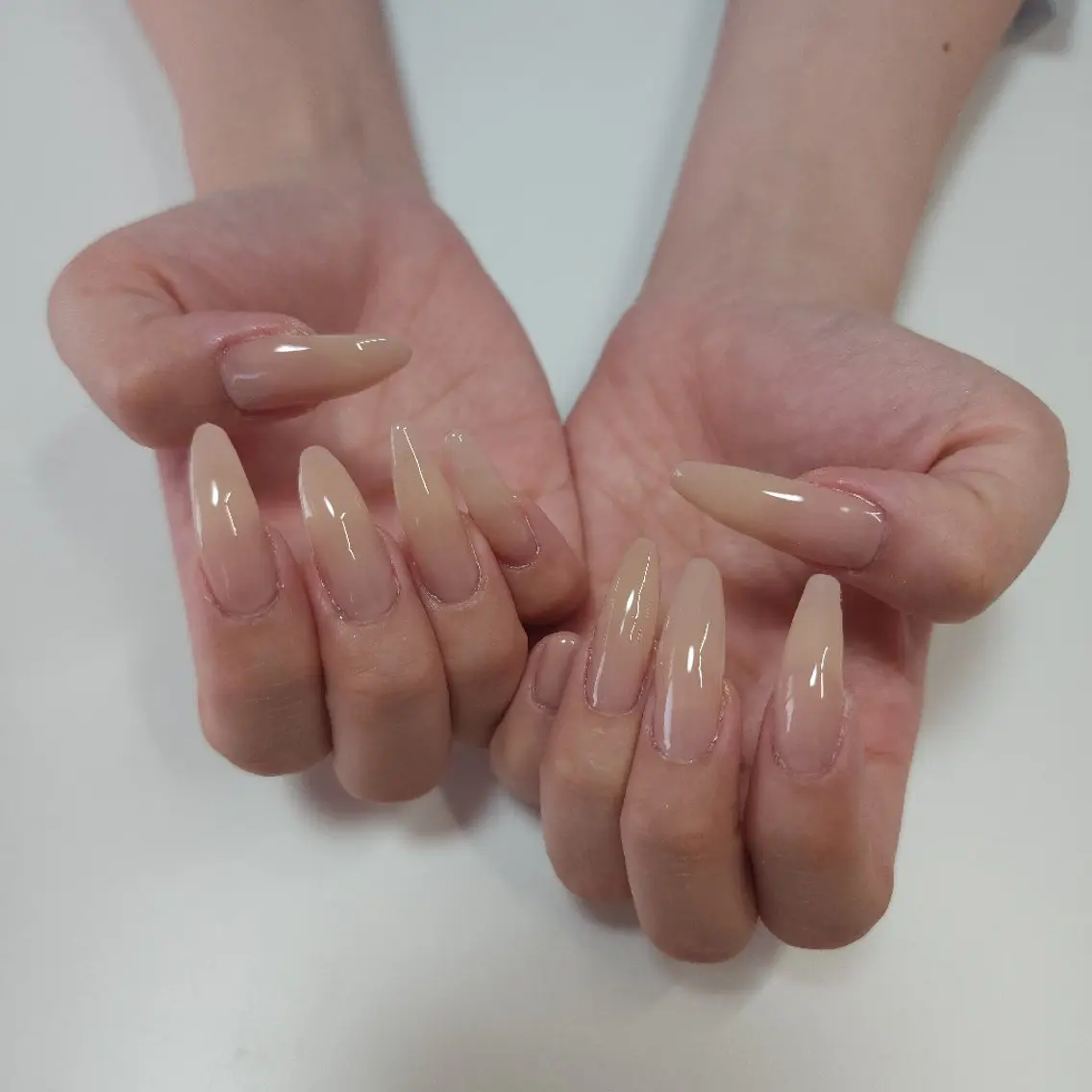 ♡ワンカラー　【オフなし】の写真