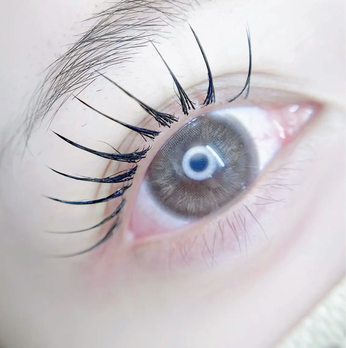 マツエク・マツパ 🎀eyelist. mizuki🐈⬛のマツエク・マツパデザイン