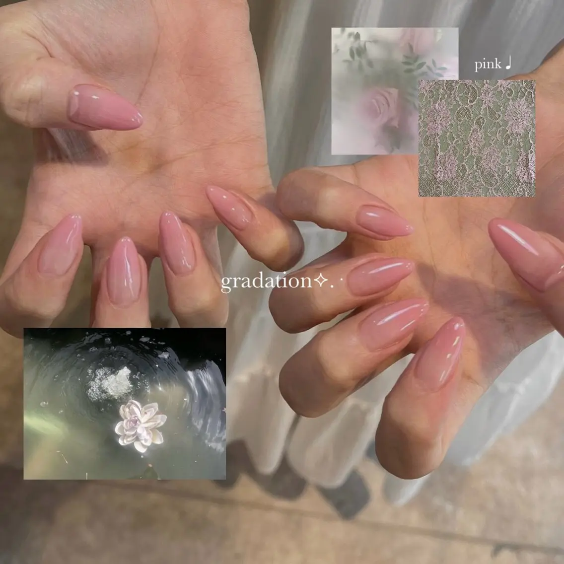 グラデーション オフなしの写真