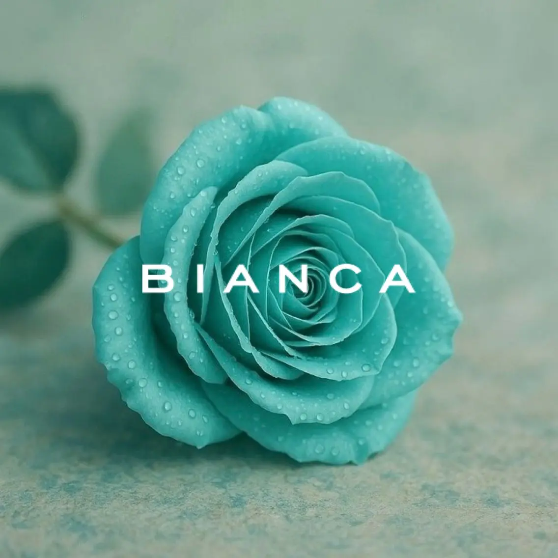ネイル Bianca大宮 Nail*森澤のネイルデザイン