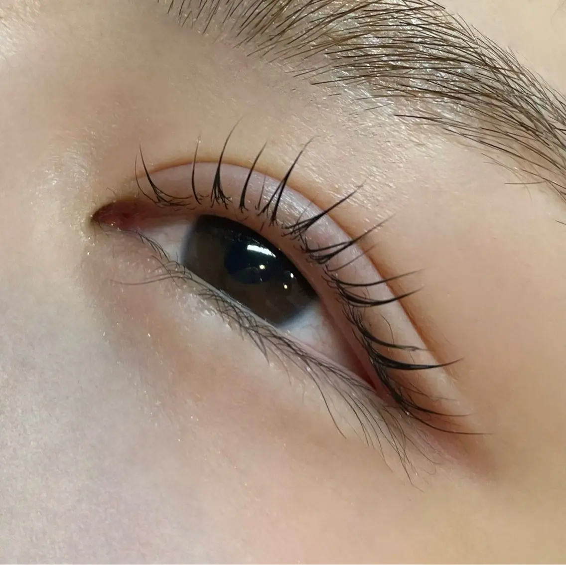 マツエク・マツパ eyelash pinna.のマツエク・マツパデザイン