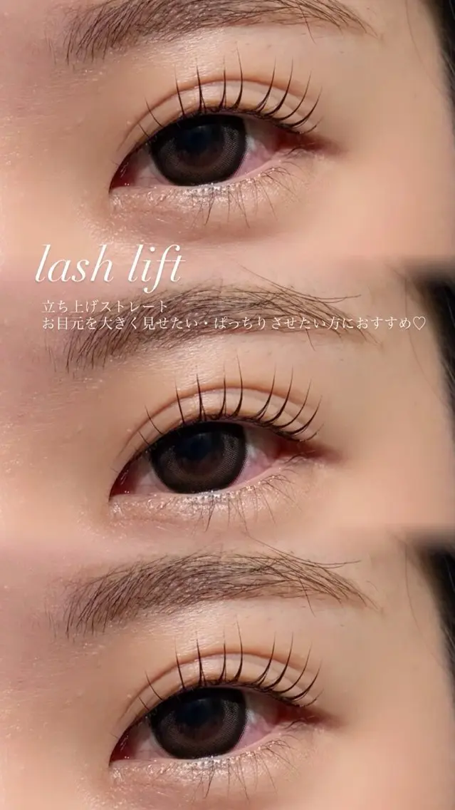 5月・6月限定🩶マツエクオフあり)まつ毛パーマ上の写真