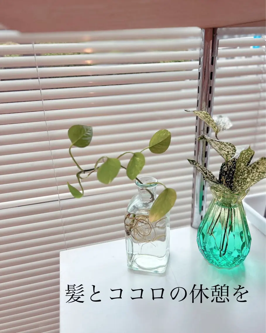 会話控えめも可能 カット+つやつやカラー+トリートメントの写真
