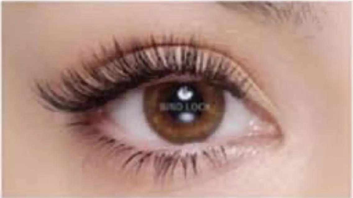 マツエク・マツパ マツエク Eyelash Salon 4Uのマツエク・マツパデザイン