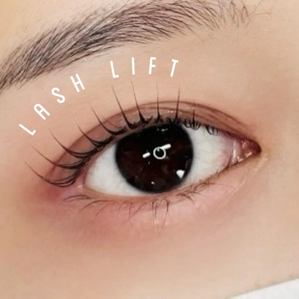 まつげパーマ(コーティング+トリートメント付)の写真