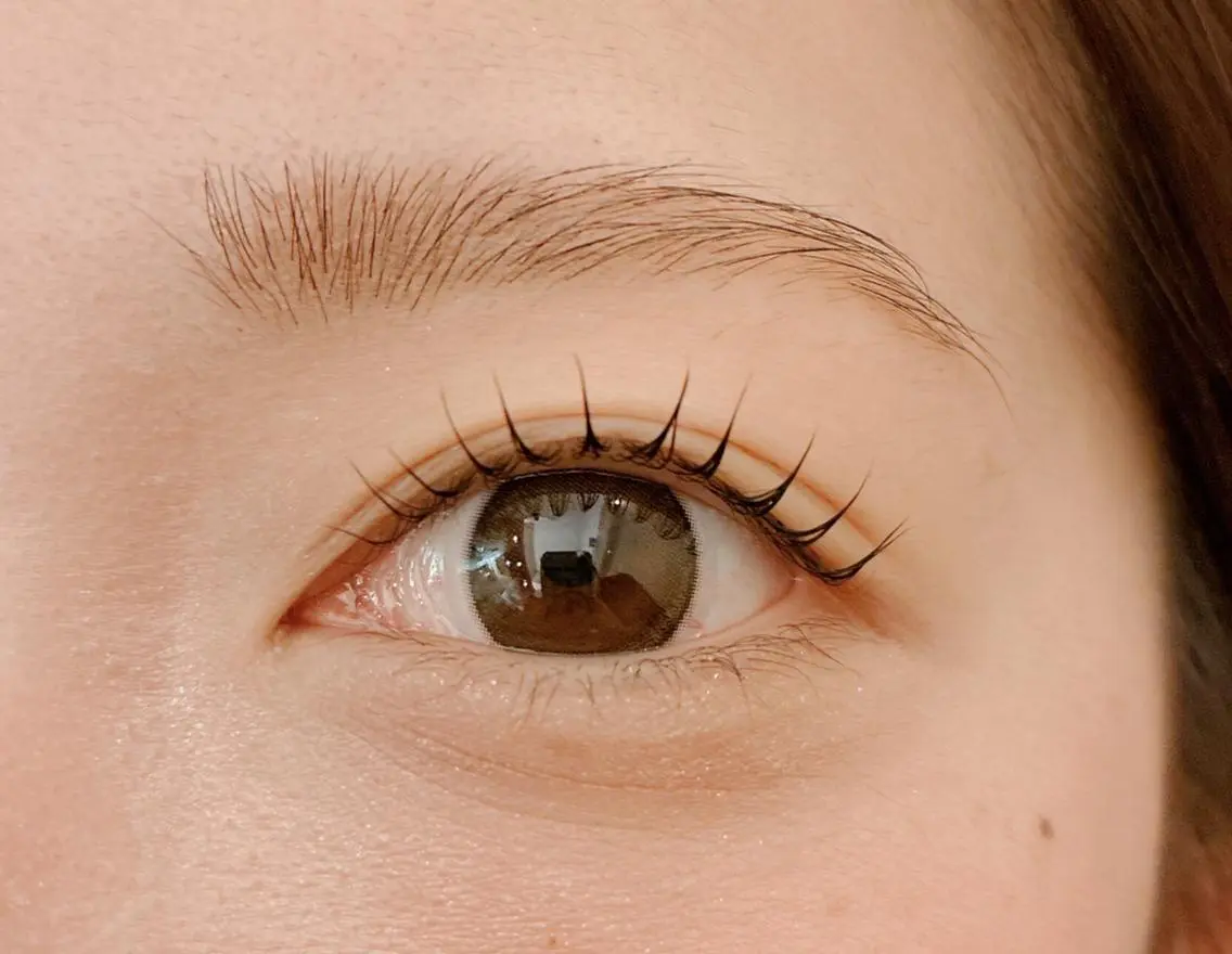 🌻人気No. 1メニュー🫶まつげパーマ👀¥6050🌻の写真