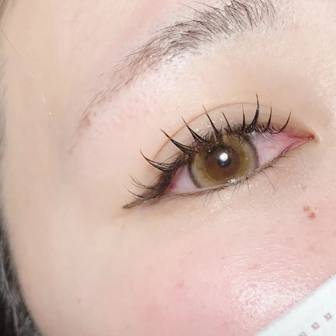 マツエク・マツパ eyelash catwinkのマツエク・マツパデザイン