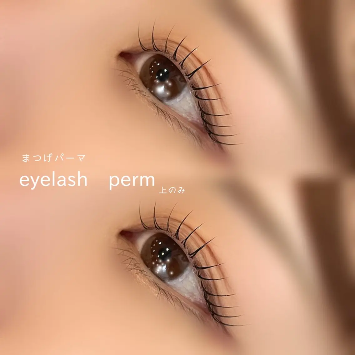 マツエク・マツパ マツパ EYE&NAIL M / EBINA🌛のマツエク・マツパデザイン