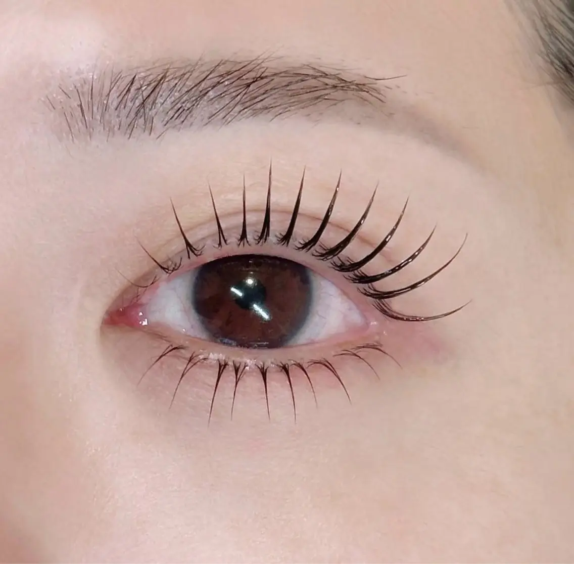 マツエク・マツパ 束感まつ毛 韓国風マツエク まつげパーマ マツパ CiCi🫧 eyelashのマツエク・マツパデザイン