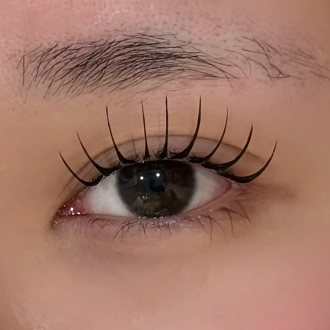 💎最新技術💎マツエク✖️マツパ 束感&healthy(アンドヘルシー)フラットラッシュ100本の写真