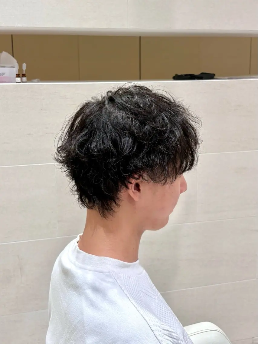 ショート パーマ メンズ カット パーマ メンズ特化美容師 / 篠谷祐輝のヘアスタイル