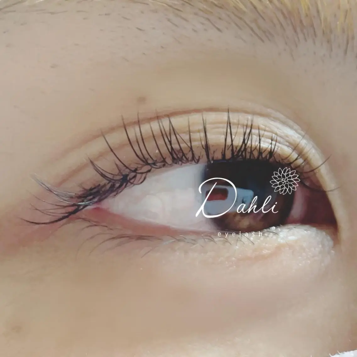 マツエク・マツパ Dahli eyelashのマツエク・マツパデザイン