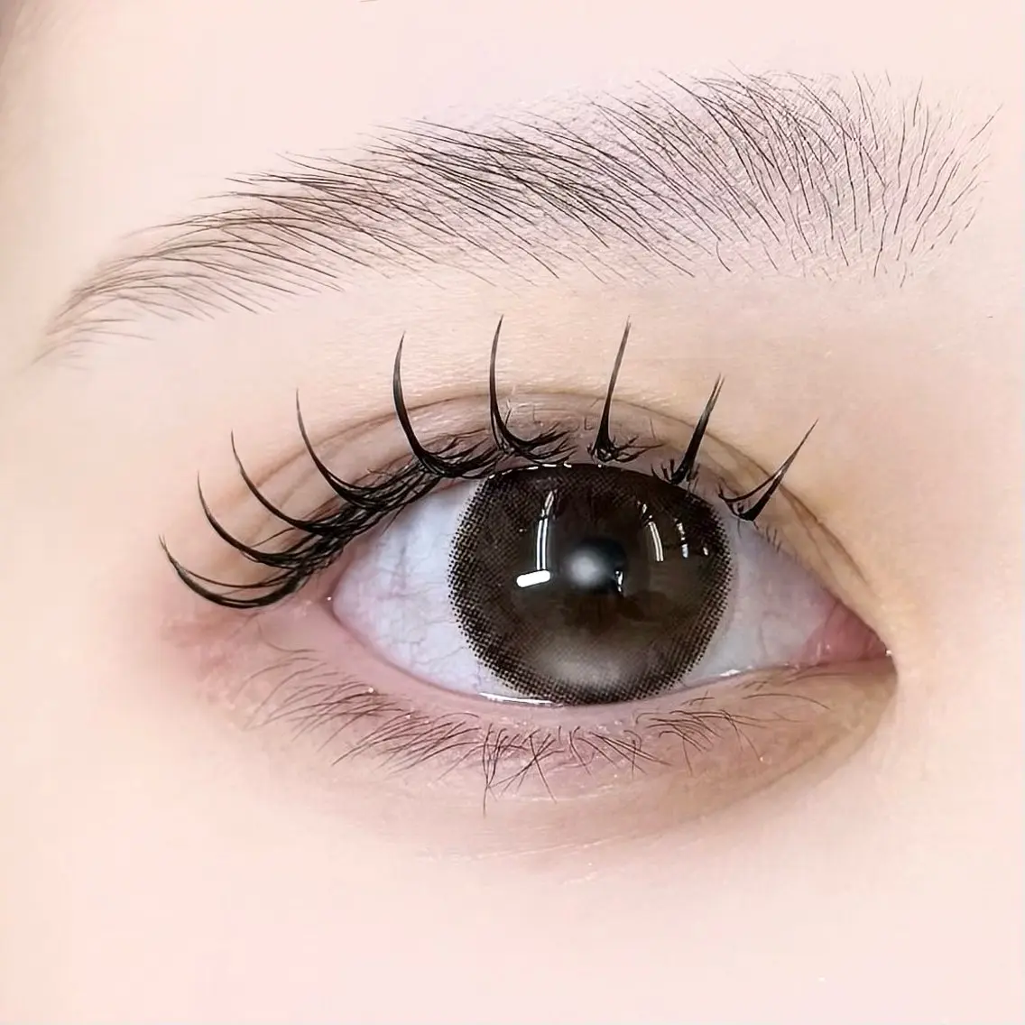【オフ込み】💞束感フラットエクステ💞100〜140本/コーティング➕アイシャンプー付き(付け足しOK⭕️)の写真