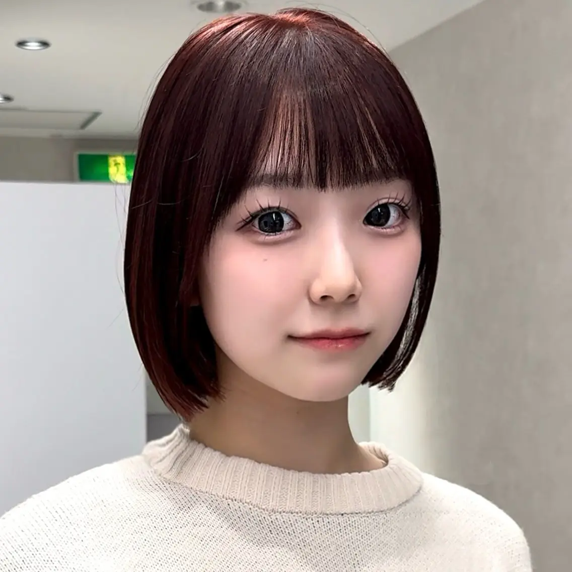 ショート 🪞ボブ特化/顔 まわり🧸mai🎀のヘアスタイル