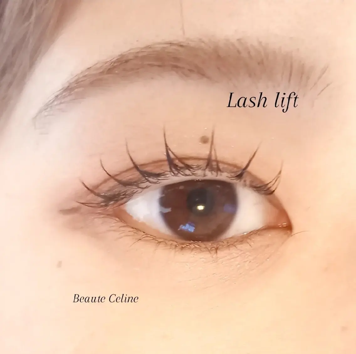 マツエク・マツパ マツパ LED✨beaute Celine🌛🌹のマツエク・マツパデザイン