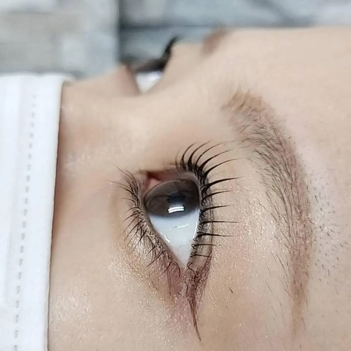 マツエク・マツパ まつげパーマ マツパ tomonail eyelistのマツエク・マツパデザイン