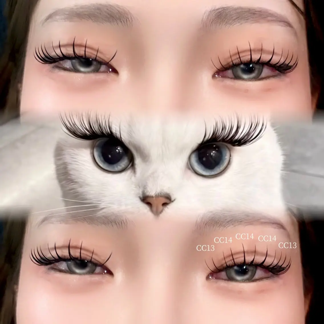 マツエク・マツパ マツエク 🐈‍⬛Mahiro /eyelash🌙のマツエク・マツパデザイン