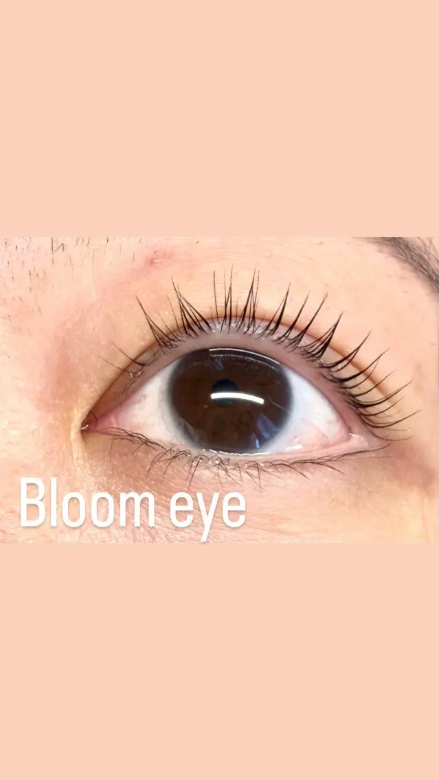 マツエク・マツパ まつげパーマ Bloom eye 豊中 北緑丘の眉毛・アイブロウイメージ