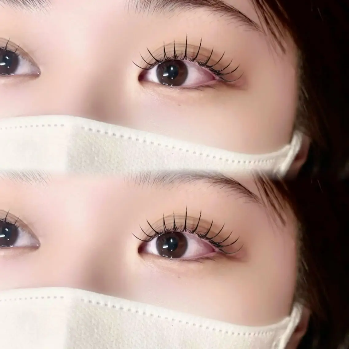【当日予約限定⭕️】バインドロック(ダブルフラット)80束​〜​100束💫💫の写真