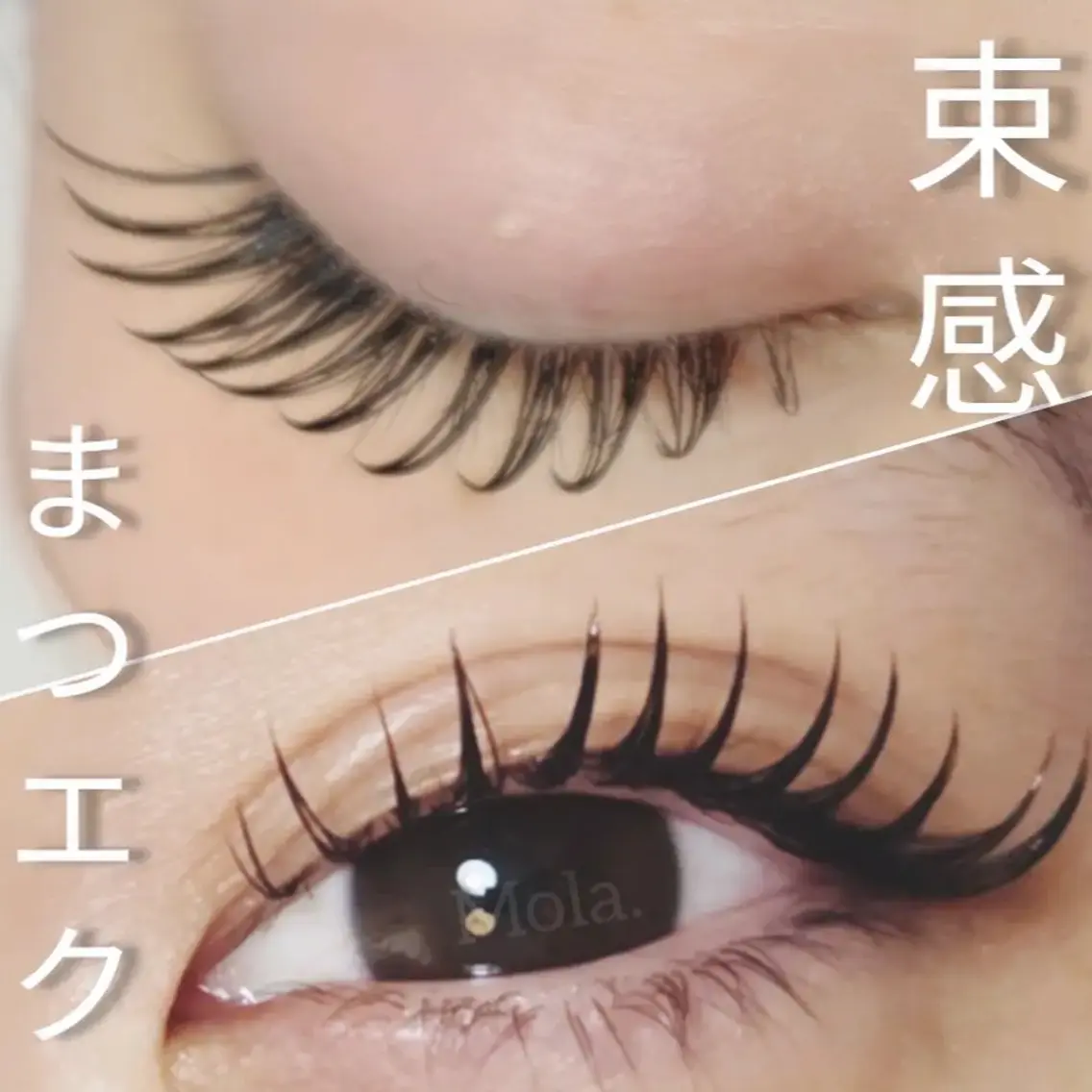 マツエク・マツパ マツエク 【Mola.】 eyelashのマツエク・マツパデザイン