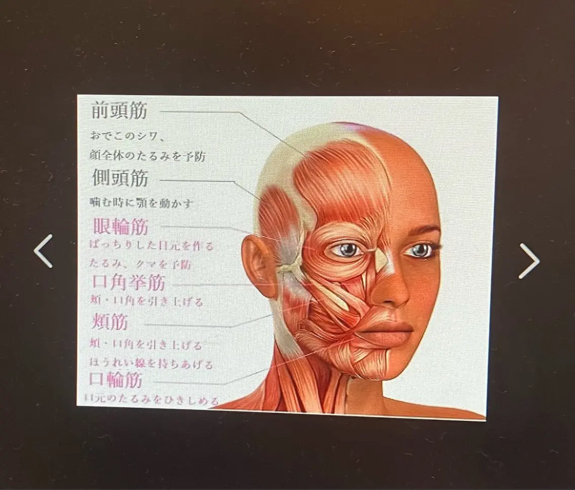 セミロング カラー パーマ リラク WiLL川井田 志津子/ヘッドスパのエステ・リラクイメージ