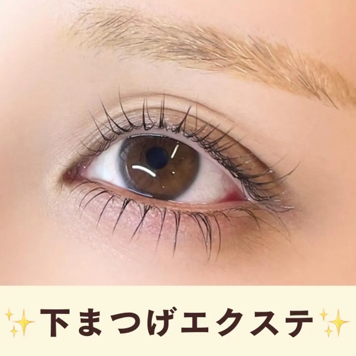 【🎀中顔面短縮🎀】下マツエク20本＋サロン専売コーティング仕上げ🫧✨目力が一気にアップ⤴️💖の写真