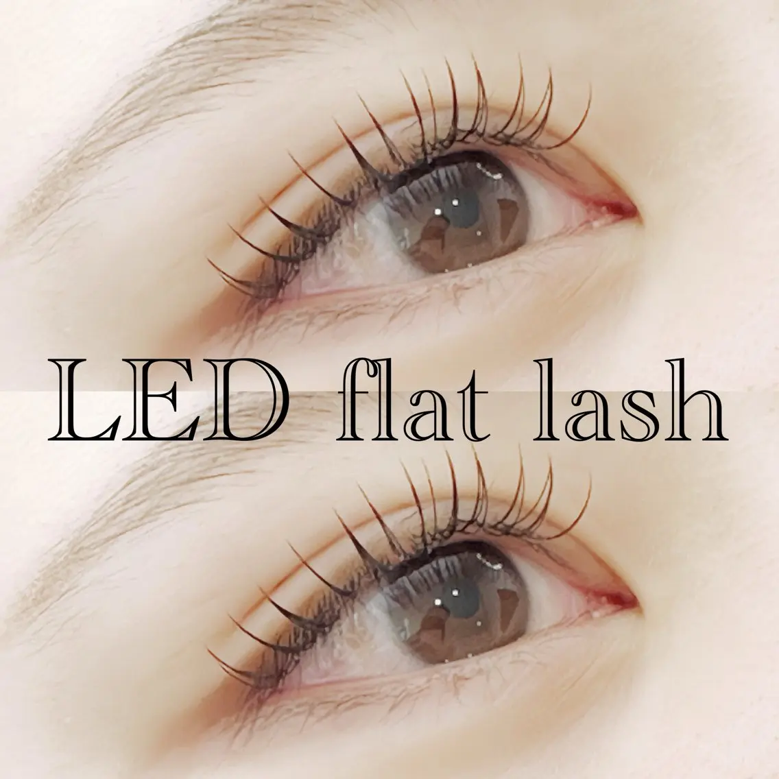【LED】フラットラッシュ100本🍊付替オフ+¥550の写真
