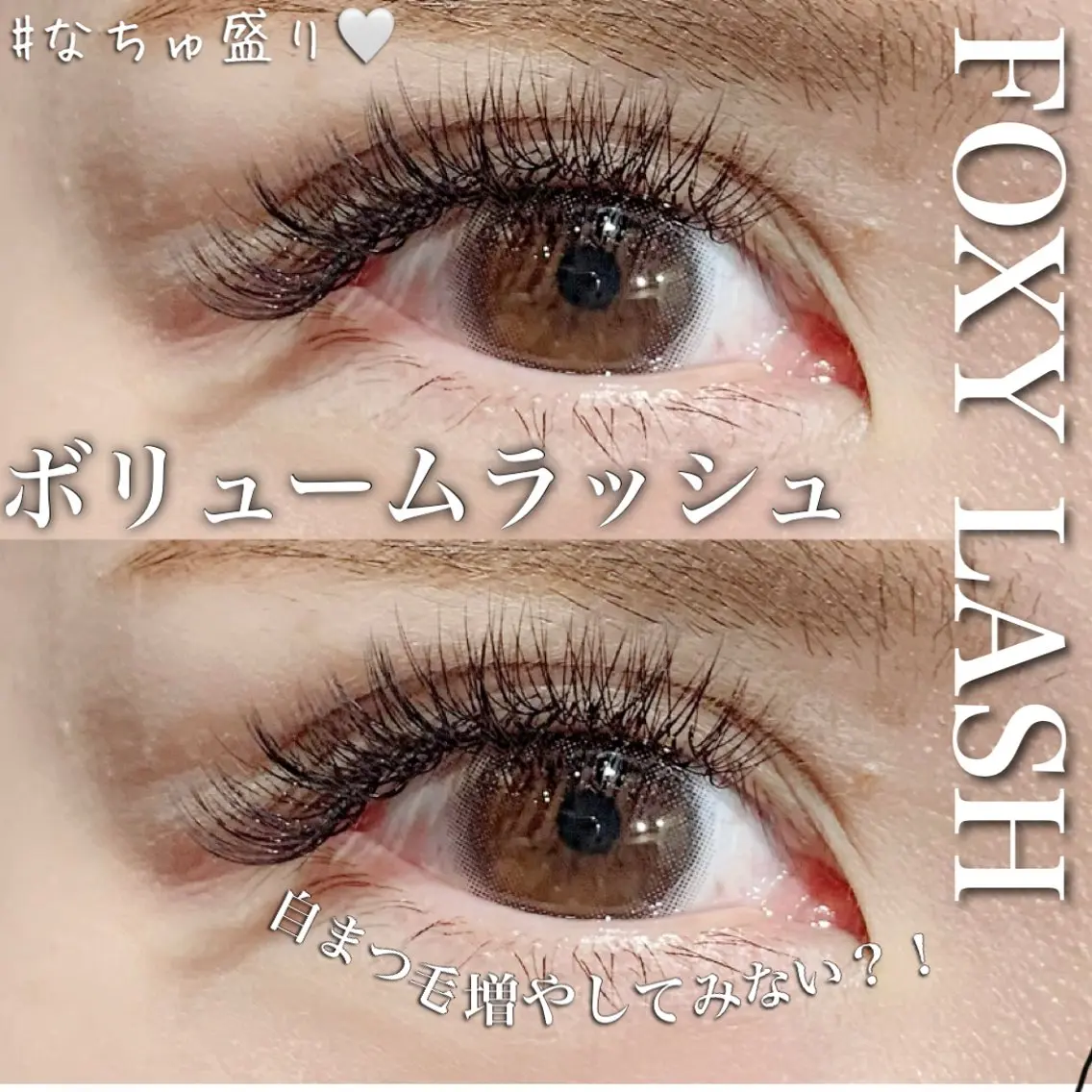 ボリュームラッシュ🪺80束【オフありは記載して下さい】の写真