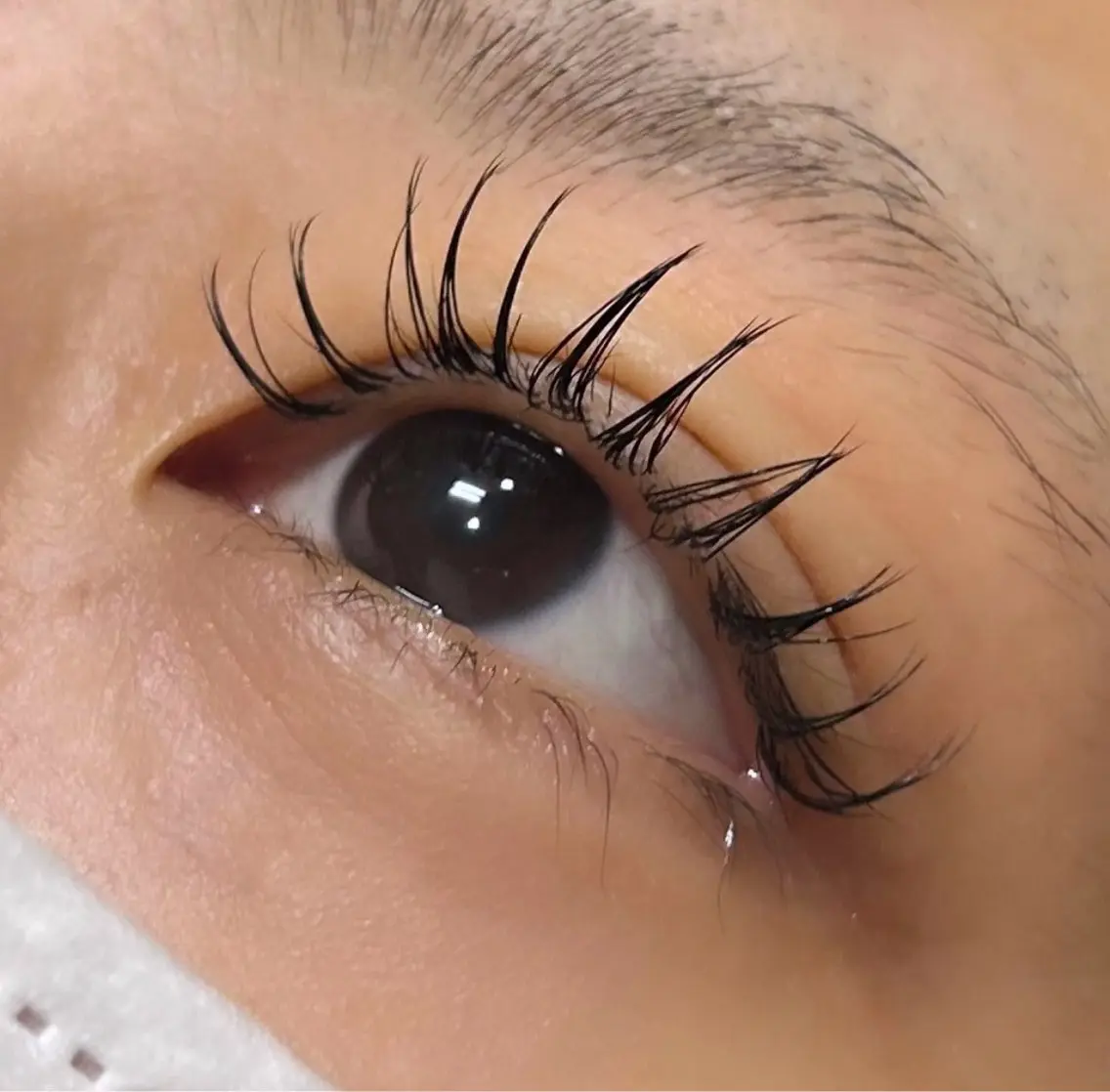 マツエク・マツパ Dカール 大野 愛実の眉毛・アイブロウイメージ