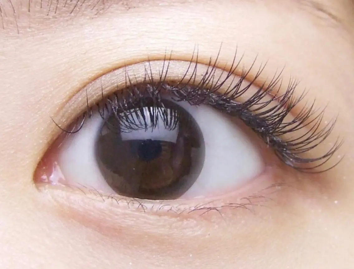 ミニモ限定 フラットラッシュ 80本(両目)オフ込みの写真