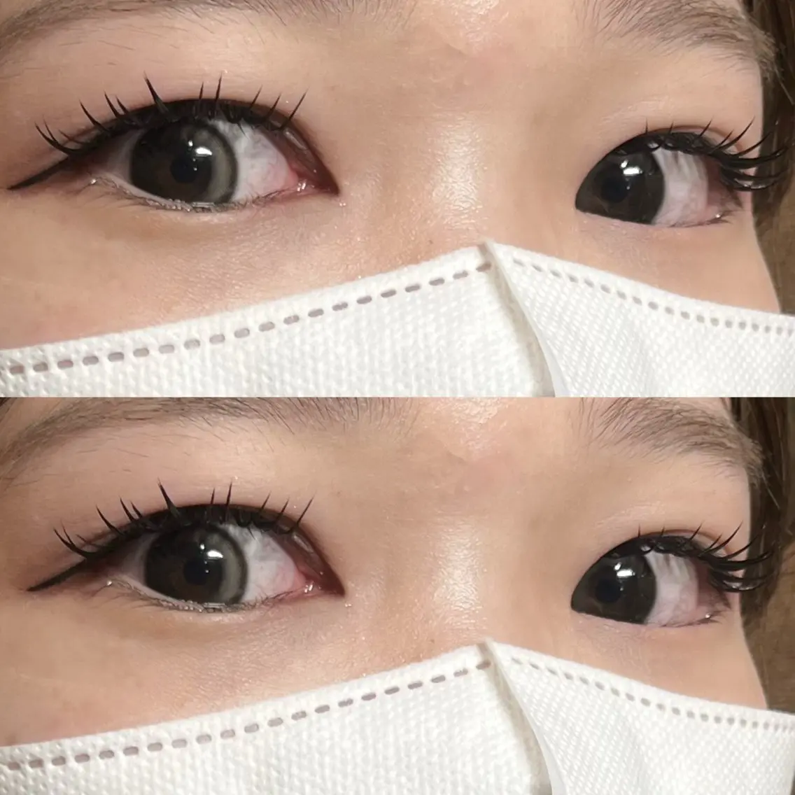🫧バインドロック60束アンドヘルシー🫧の写真