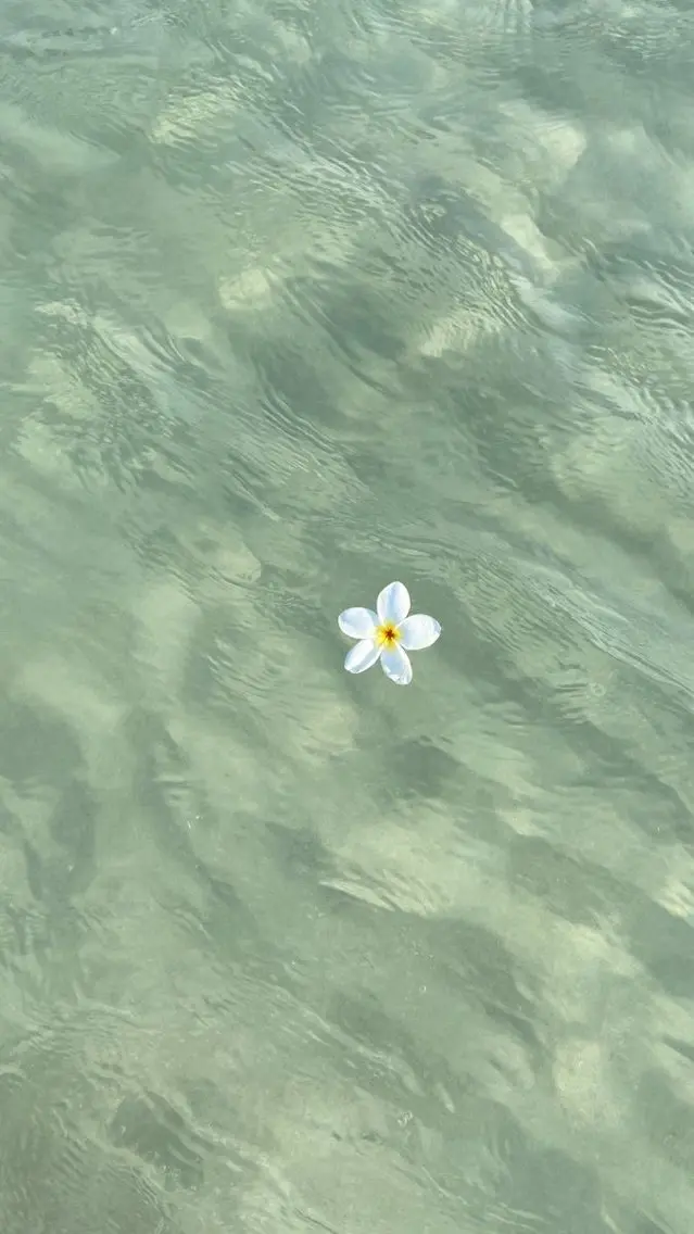 マツエク・マツパ ひなの 🌼のマツエク・マツパデザイン