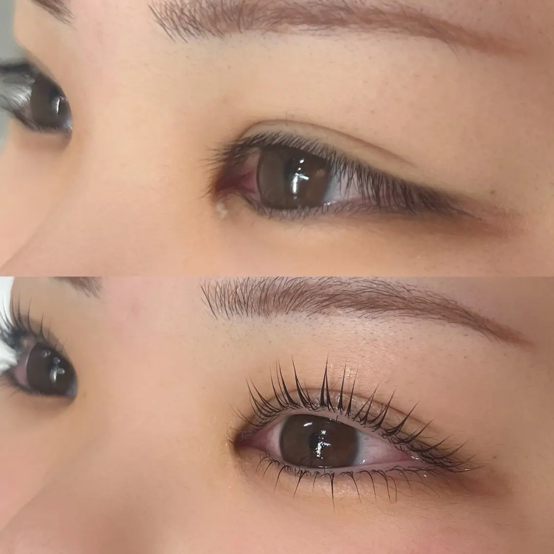 マツエク・マツパ マツパ Lily eye and nailのマツエク・マツパデザイン