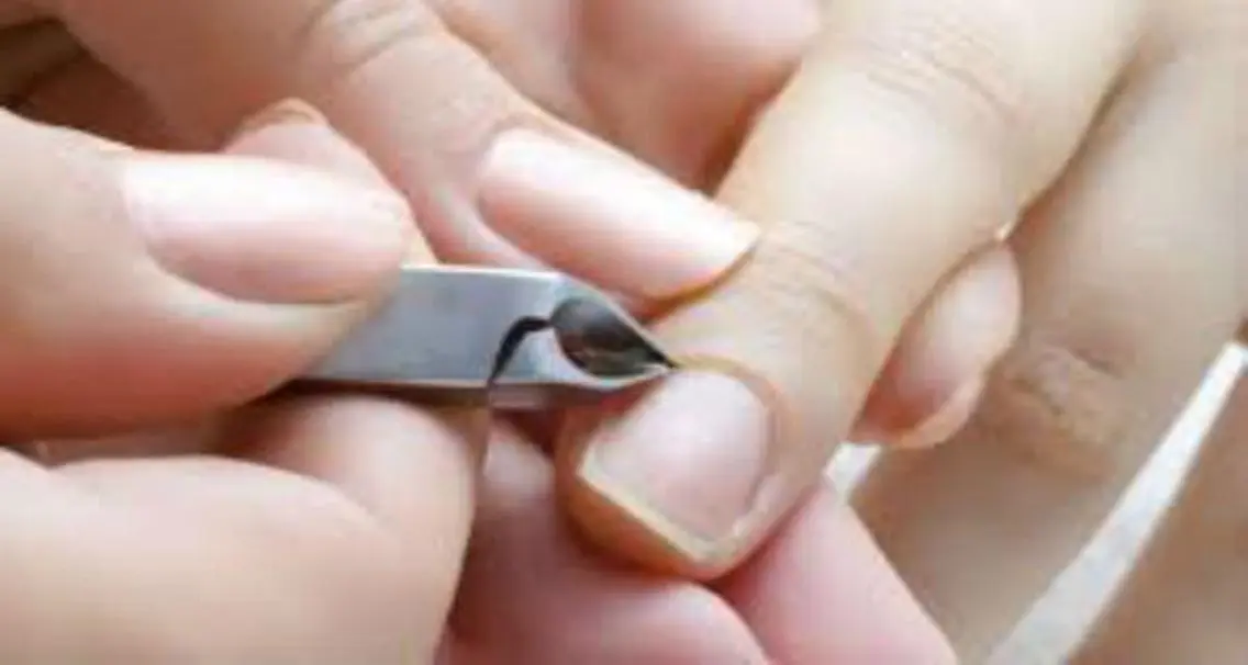 ネイル 💅ネイル✨ プリンセスのネイルデザイン