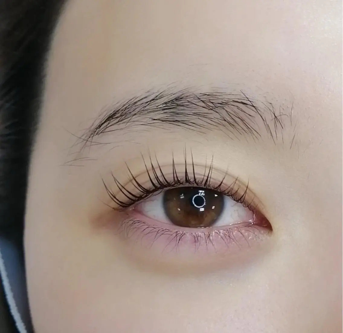マツエク・マツパ Anela 🦋HARUMIの眉毛・アイブロウイメージ