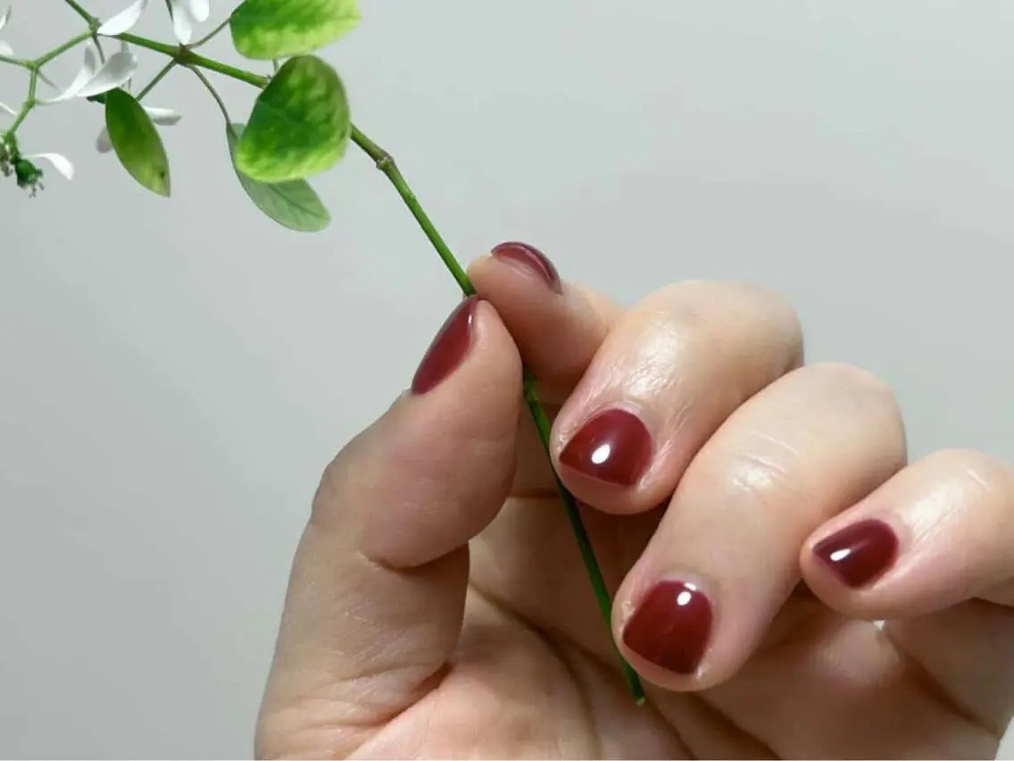 ネイル C Annaのネイルデザイン