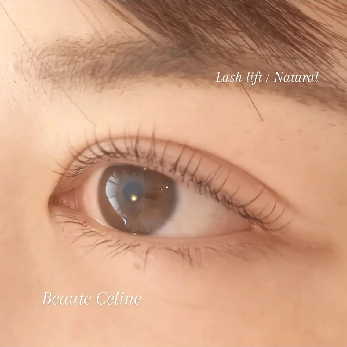 マツエク・マツパ ナチュラル マツパ LED✨beaute Celine🌛🌹のマツエク・マツパデザイン