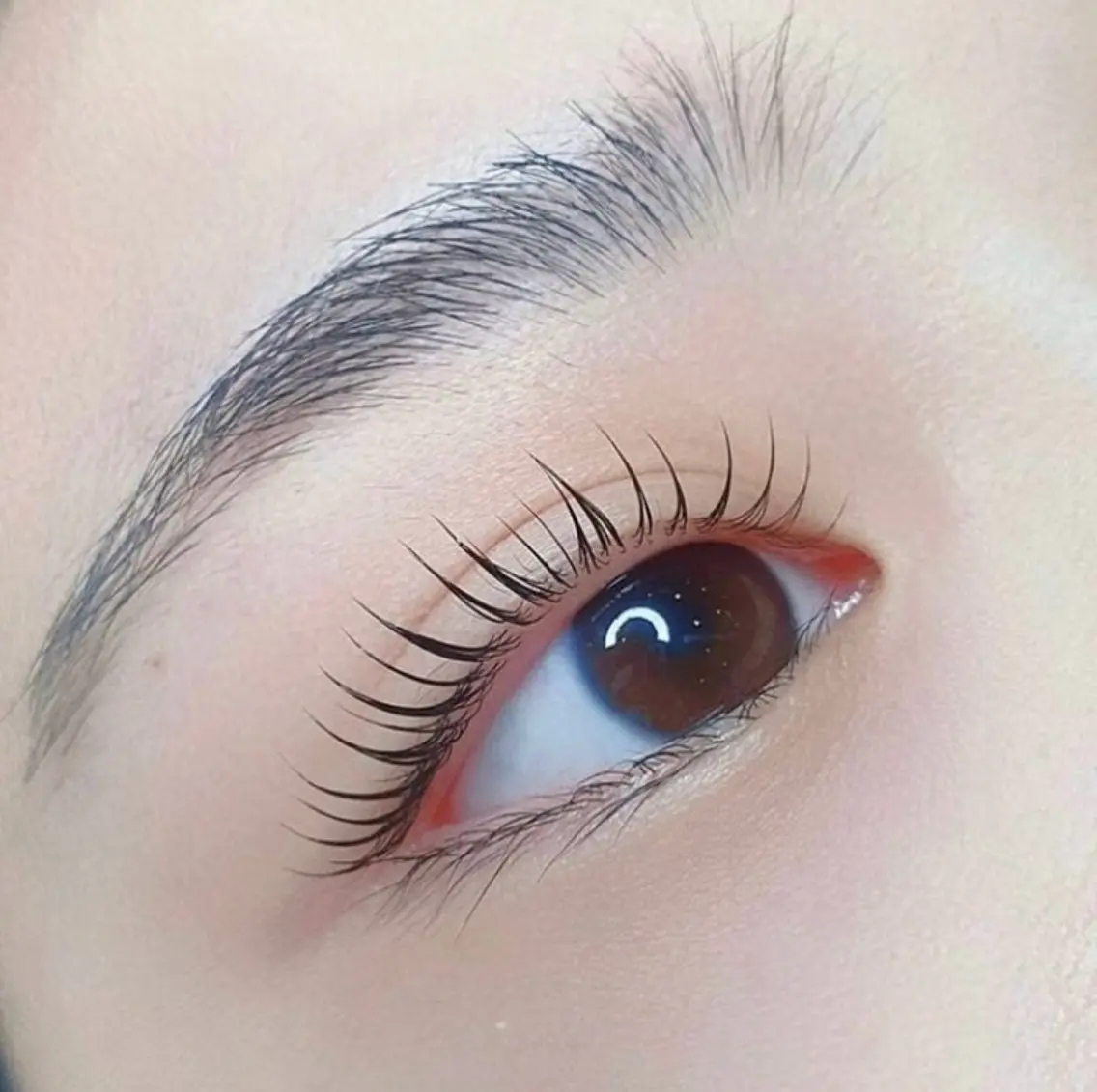 マツエク・マツパ マツパ Lash  Lift Salon Nのマツエク・マツパデザイン