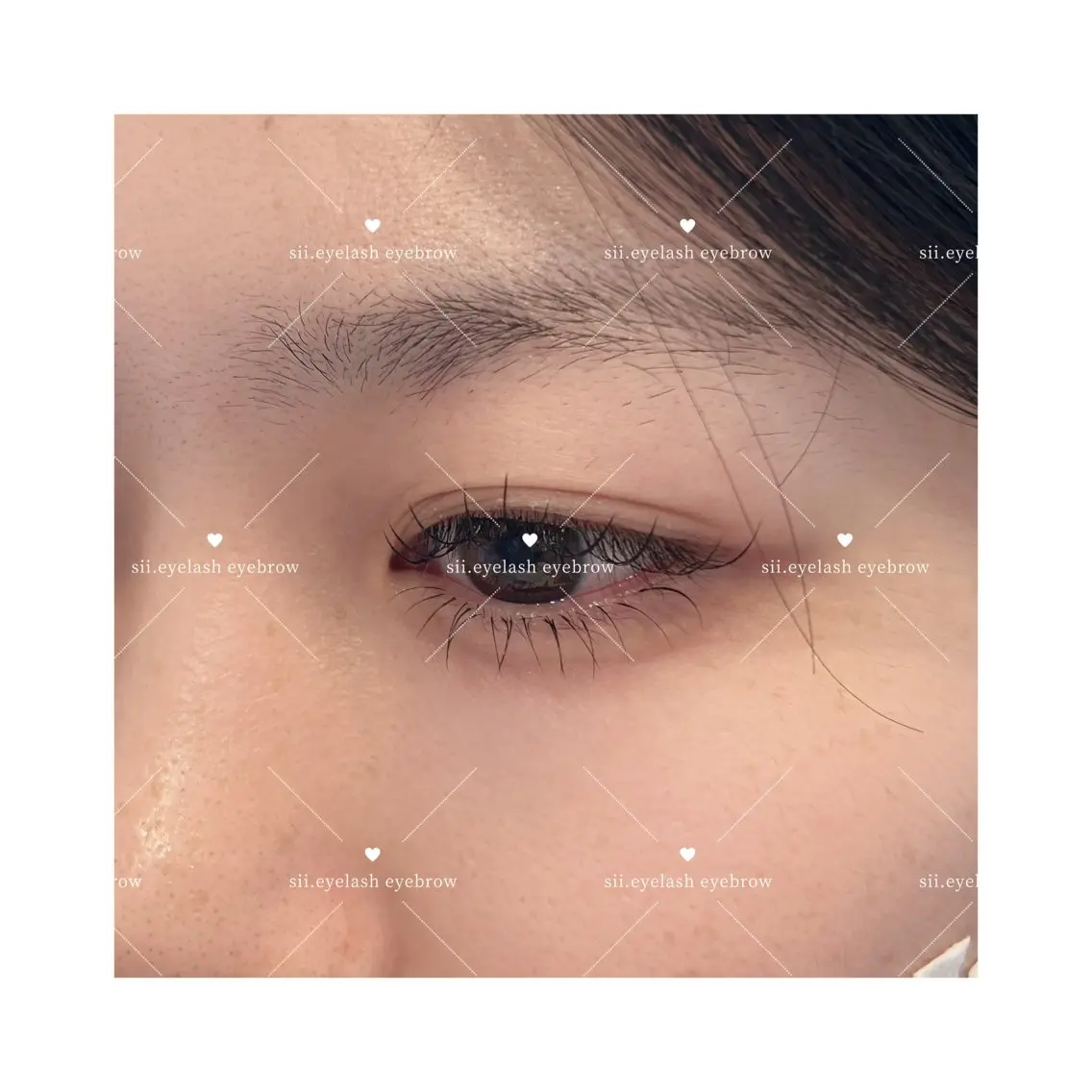 マツエク・マツパ 下まつげエクステ マツエク sii. くろだの眉毛・アイブロウイメージ