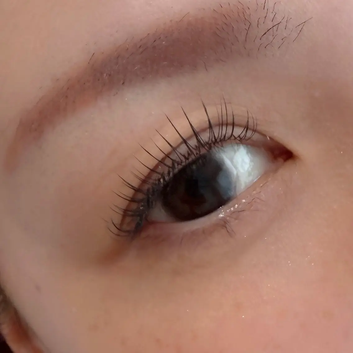 【バラつきにくい×高持続×ストレスフリー】デザインキープラッシュ 80束の写真