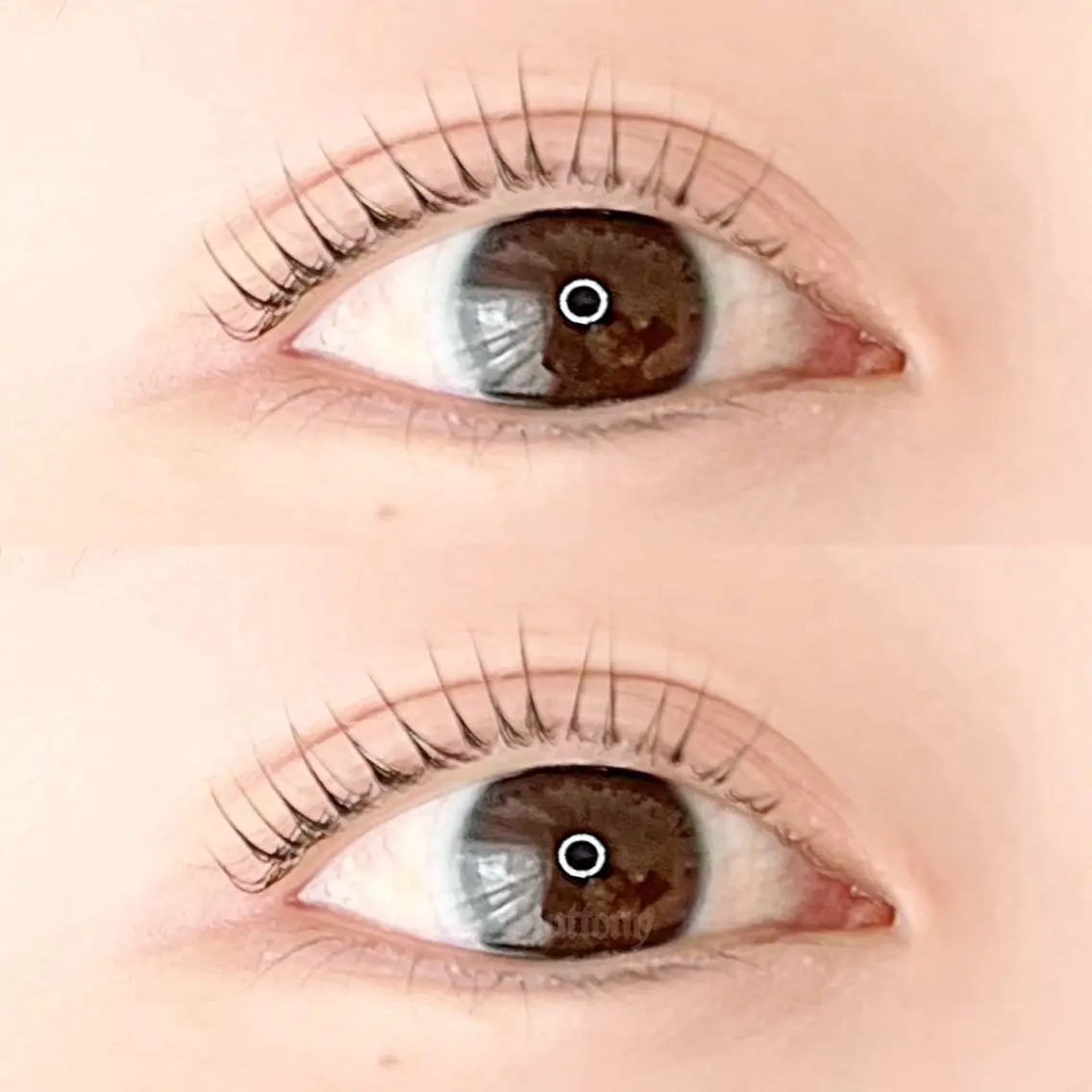 マツエク・マツパ マツパ Gluttony/ ｸﾞﾗﾄﾆｰのマツエク・マツパデザイン