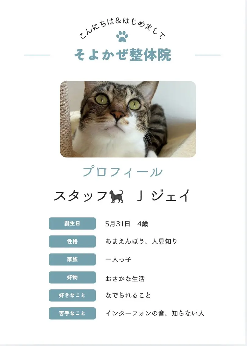 齋藤 麻衣 【そよかぜ整体院】のエステ・リラクイメージ