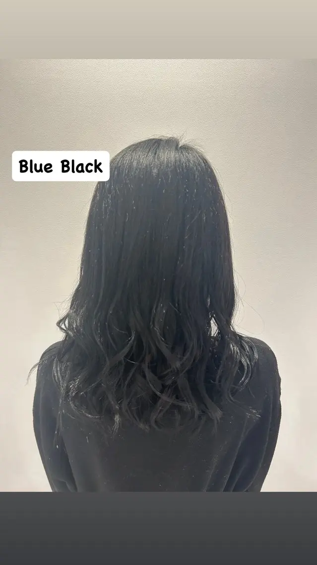 セミロング カラー 黒髪 ブルーカラー ブルーブラック ハイトーンカラー ヘアカラー メンズカット/パ ーマ/スズキショウタのヘアスタイル