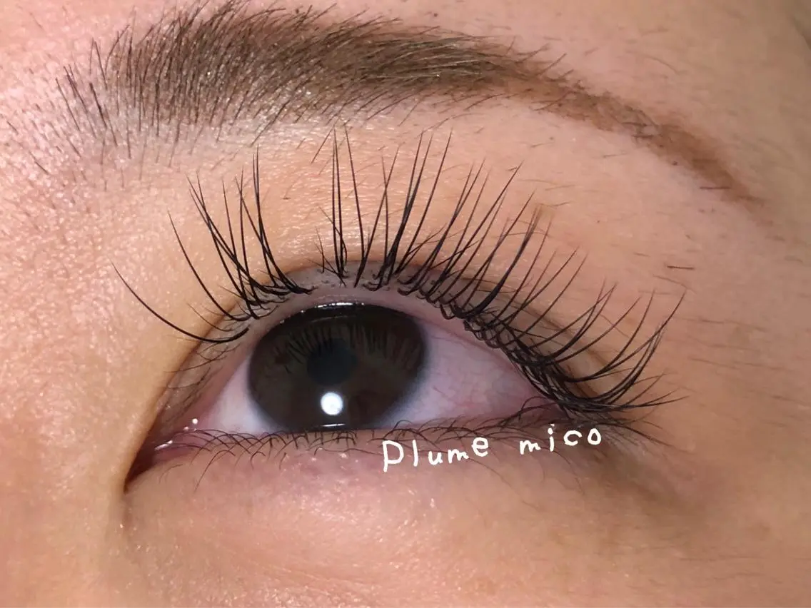 マツエク・マツパ マツエク Plume micoのマツエク・マツパデザイン