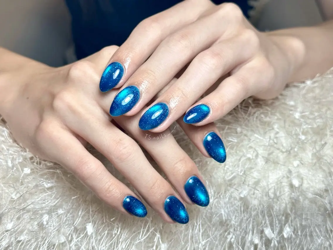 ネイル キラキラネイル マグネットネイル 持ち込み シンプルネイル ハンドネイル TS. nails___のネイルデザイン