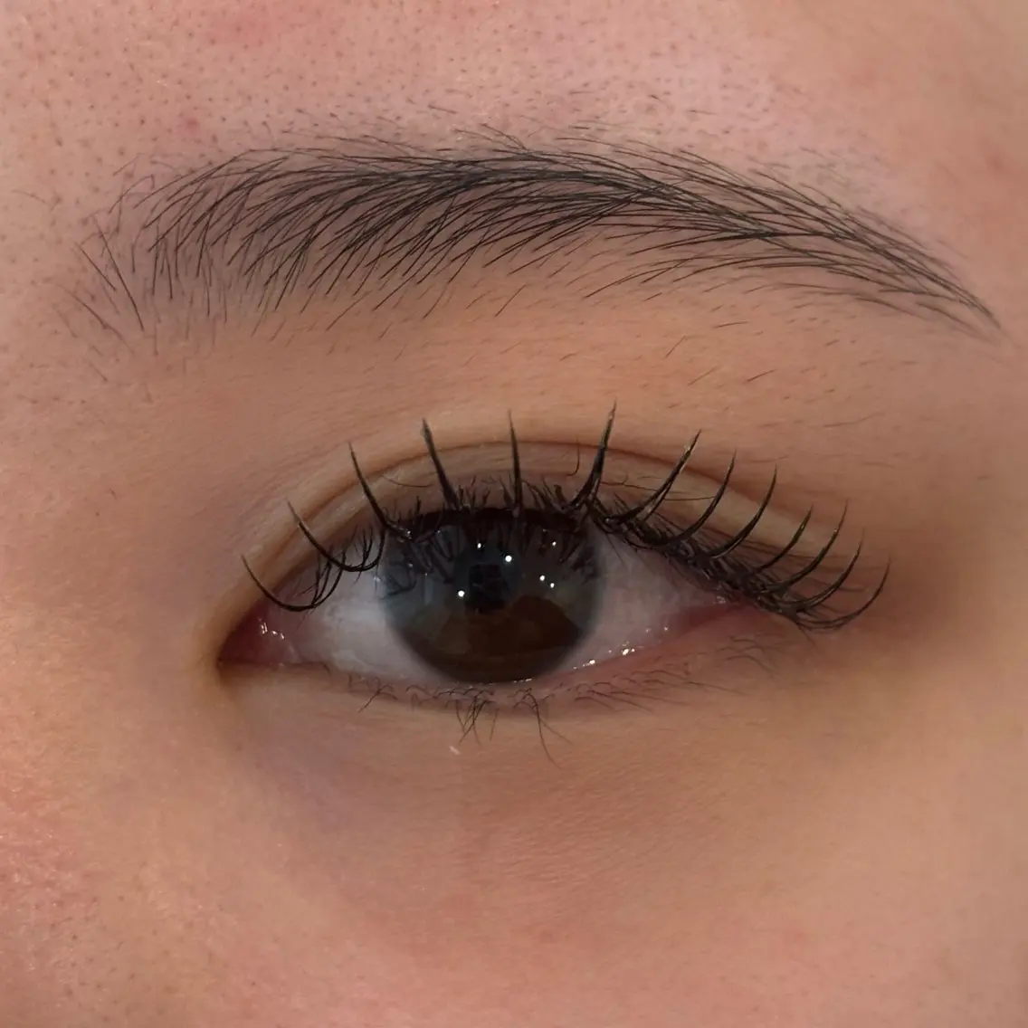 マツエク・マツパ フラットラッシュ Daisy Lash 梅田店のマツエク・マツパデザイン
