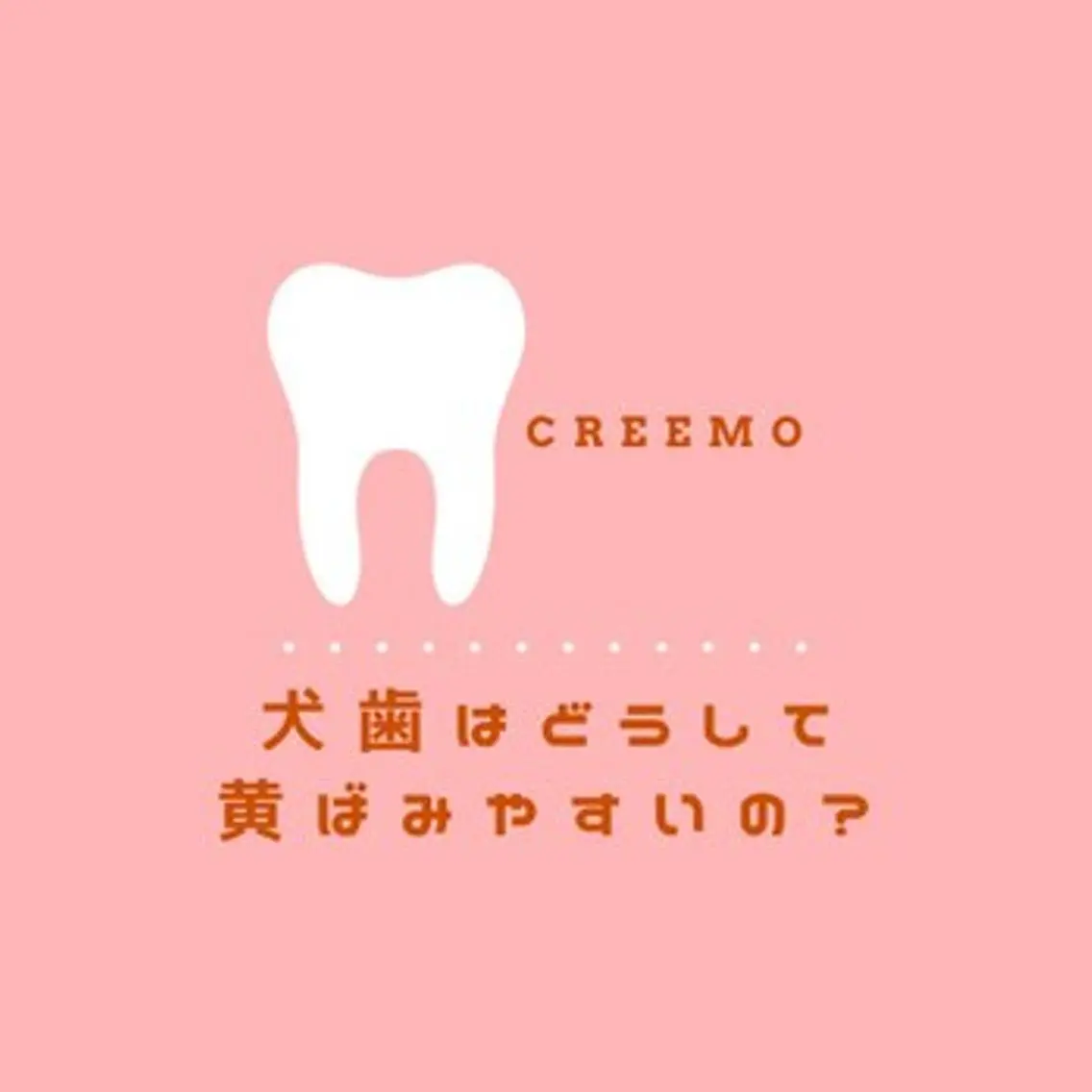 歯のホワイトニング HARU南浦和のその他イメージ