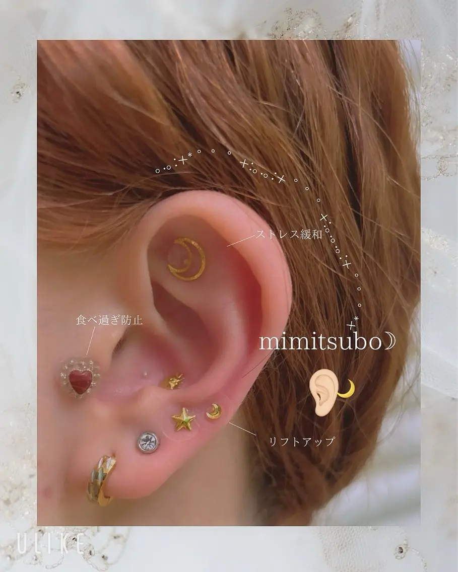 ⭐️minimo10名様限定価格⭐️【耳つぼジュエリー12parts】の写真