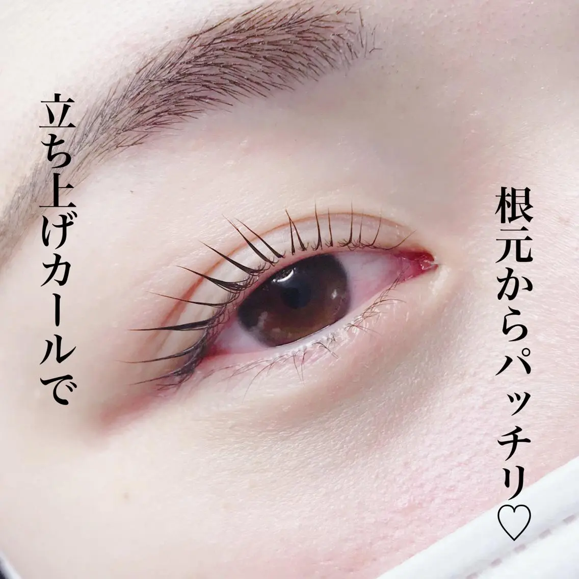 マツエク・マツパ eyelash catwinkのマツエク・マツパデザイン